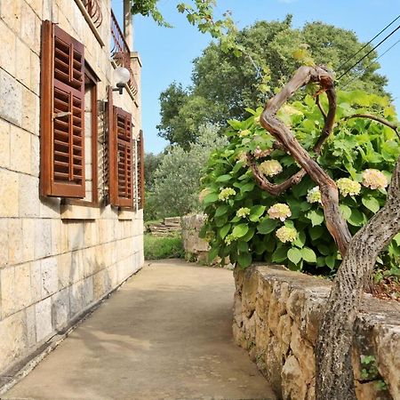 Studio Airport Dubrovnik Чилипи Экстерьер фото