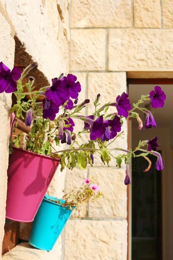 Studio Airport Dubrovnik Чилипи Экстерьер фото